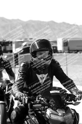 media/Mar-08-2025-TrackXperience (Sat) [[277b597a28]]/1-Around the Pits - Pre Grid/